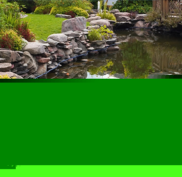 Aménagement de jardin